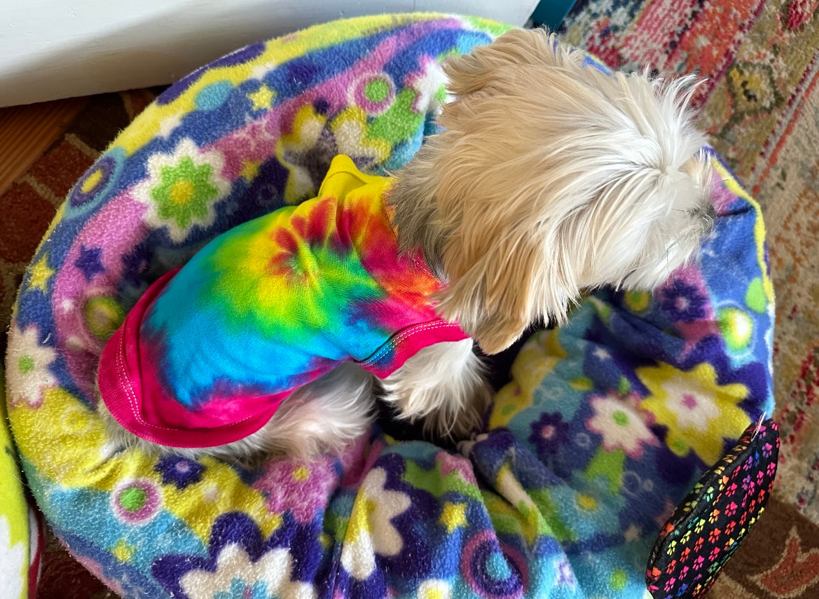 Classic Tie Dye Dog Shirt