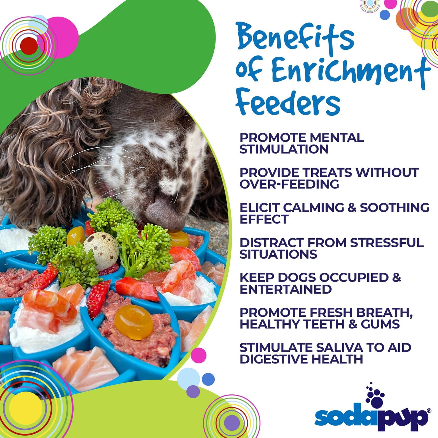 MANDALA DESIGN ETRAY ENRICHMENT TRAY FOR DOGS