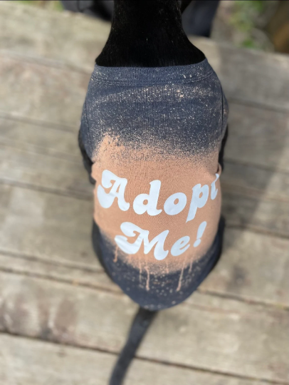 'Adopt Me' Dog Shirt