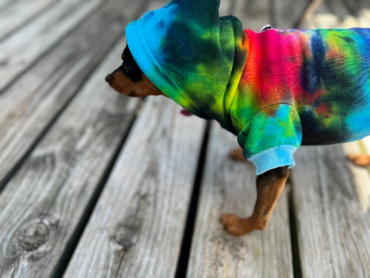 Multicolored Rainbow Ice Dye Dog Hoodie