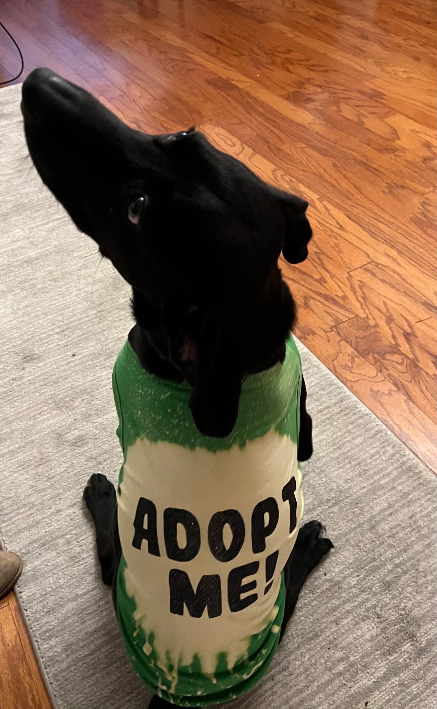'Adopt Me' Dog Shirt