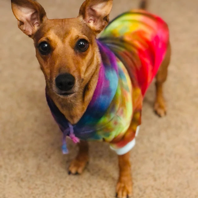 Multicolored Rainbow Ice Dye Dog Hoodie