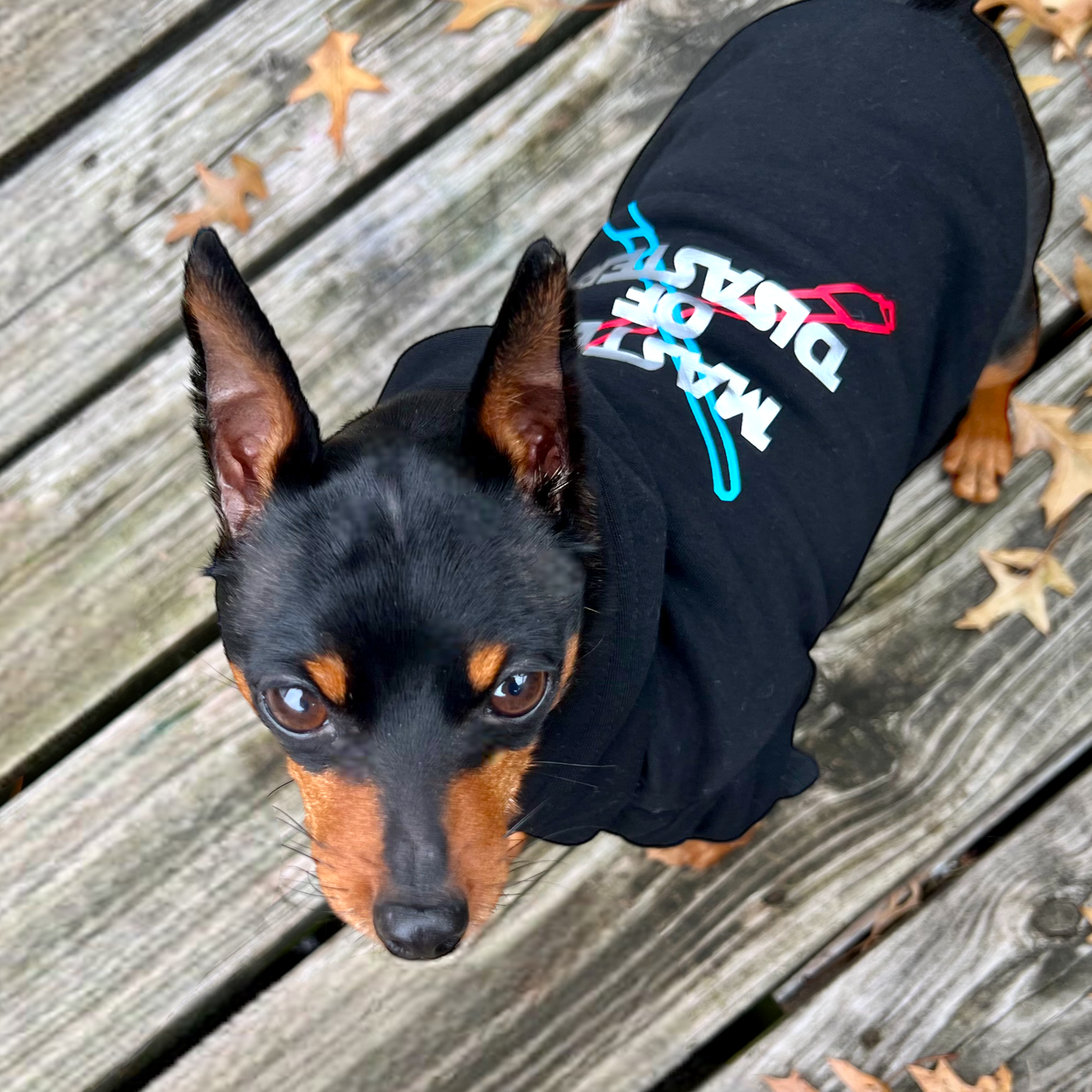 Master Of Disaster Dog Hoodie