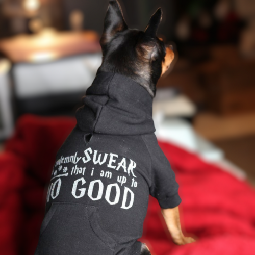 Solemnly Swear Plush Flex-Fit Dog Hoodie
