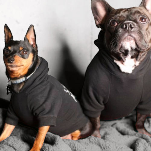 Solemnly Swear Plush Flex-Fit Dog Hoodie