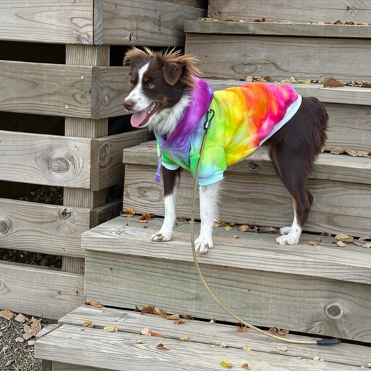 Multicolored Rainbow Ice Dye Dog Hoodie