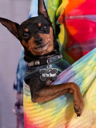 Peace, Love, Paws Tie Dye Pet Carrier