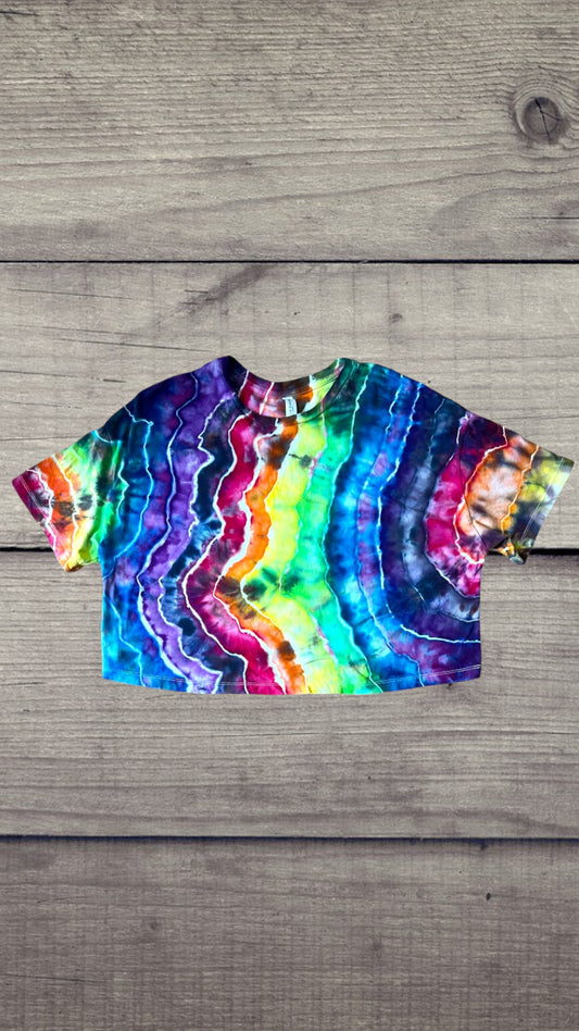 Rainbow Crop Top